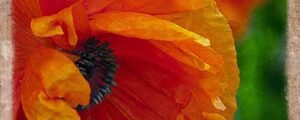 Printing on Fabric: "Poppy" Art Quilt – quilting progress