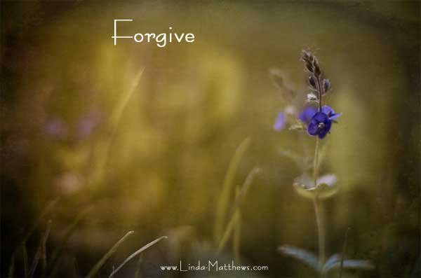 Not Quite Wordless Wednesday: Forgive