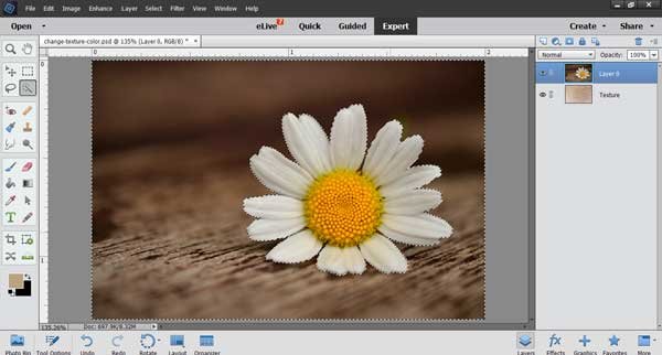 Exploring Photoshop: How to change a background color - quick and easy -  Linda Matthews