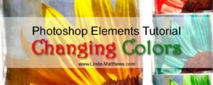 Photoshop Elements Tutorial: Changing Colors