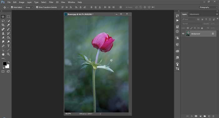 Easy Selective Coloring Effect using Photoshop